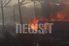 Νεκρός 28χρονος πυροσβέστης στη φωτιά στην Ελευσίνα - Κάηκαν σπίτια στην Σαλαμίνα