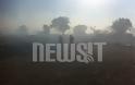 Νεκρός 28χρονος πυροσβέστης στη φωτιά στην Ελευσίνα - Κάηκαν σπίτια στην Σαλαμίνα - Φωτογραφία 2