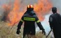 Αχαϊα: Υπό μερικό έλεγχο η φωτιά στο Γιαννισκάρι