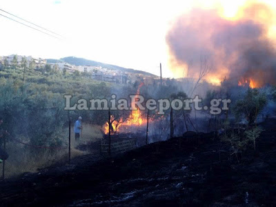 Κινδύνεψαν σπίτια στη Λαμία από την πυρκαγιά το απόγευμα (Φώτο & Video) - Φωτογραφία 10