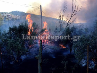 Κινδύνεψαν σπίτια στη Λαμία από την πυρκαγιά το απόγευμα (Φώτο & Video) - Φωτογραφία 11