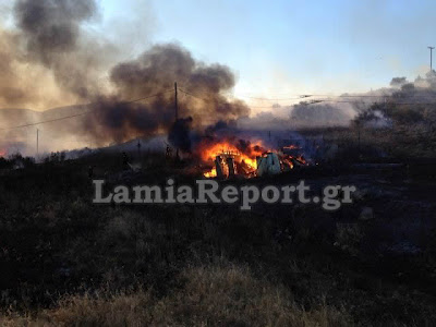 Κινδύνεψαν σπίτια στη Λαμία από την πυρκαγιά το απόγευμα (Φώτο & Video) - Φωτογραφία 13