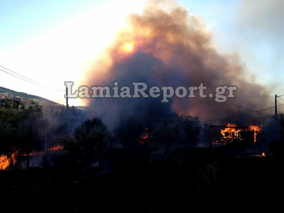 Κινδύνεψαν σπίτια στη Λαμία από την πυρκαγιά το απόγευμα (Φώτο & Video) - Φωτογραφία 14