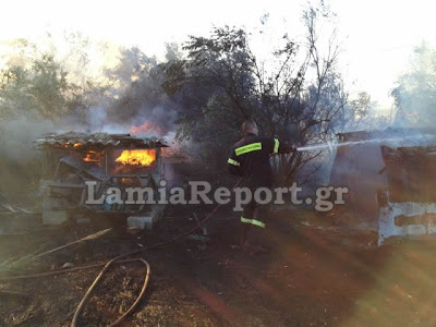 Κινδύνεψαν σπίτια στη Λαμία από την πυρκαγιά το απόγευμα (Φώτο & Video) - Φωτογραφία 16