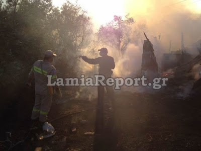 Κινδύνεψαν σπίτια στη Λαμία από την πυρκαγιά το απόγευμα (Φώτο & Video) - Φωτογραφία 2