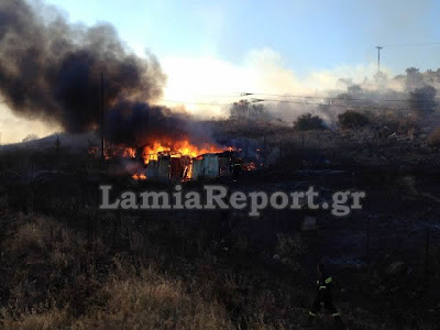 Κινδύνεψαν σπίτια στη Λαμία από την πυρκαγιά το απόγευμα (Φώτο & Video) - Φωτογραφία 4