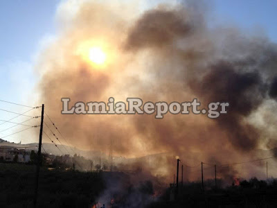 Κινδύνεψαν σπίτια στη Λαμία από την πυρκαγιά το απόγευμα (Φώτο & Video) - Φωτογραφία 6