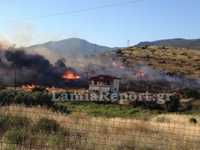 Κινδύνεψαν σπίτια στη Λαμία από την πυρκαγιά το απόγευμα (Φώτο & Video) - Φωτογραφία 7