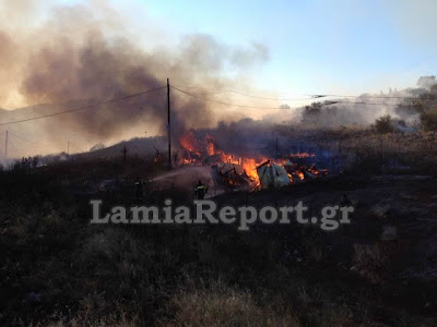 Κινδύνεψαν σπίτια στη Λαμία από την πυρκαγιά το απόγευμα (Φώτο & Video) - Φωτογραφία 8