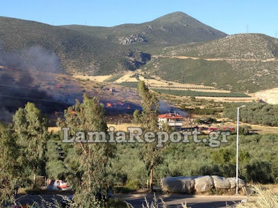 Κινδύνεψαν σπίτια στη Λαμία από την πυρκαγιά το απόγευμα (Φώτο & Video) - Φωτογραφία 9