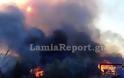 Κινδύνεψαν σπίτια στη Λαμία από την πυρκαγιά το απόγευμα (Φώτο & Video)