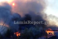 Κινδύνεψαν σπίτια στη Λαμία από την πυρκαγιά το απόγευμα (Φώτο & Video)