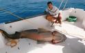 3 μέτρα και 300 κιλά σκυλόψαρο ψάρεψαν στο Πόρτο Κάγιο!