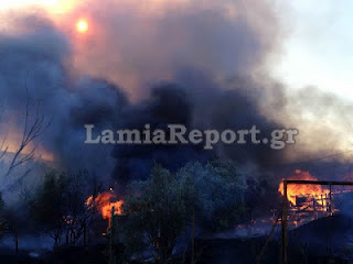 Κινδύνεψαν σπίτια στη Λαμία απ' την πυρκαγιά χθες το απόγευμα - Φωτογραφία 1