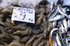 Ανεξέλεγκτες διαστάσεις έχει λάβει πλέον το φαινόμενο της απόψυξης κατεψυγμένων αλιευμάτων