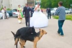 Οι 10 ΦΩΤΟγραφίες που οι νεόνυμφοι θα ήθελαν να ξεχάσουν [φωτο]