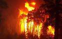 Μαίνονται οι φωτιές σε Άγιο Αντώνιο Ναυπλίου και Καμηλόβρυση
