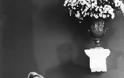 Οι τελευταίες στιγμές του Ανδρέα Παπανδρέου. 16 χρόνια μετά τον θάνατό του...!!! - Φωτογραφία 3