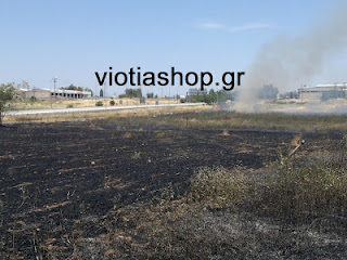 Βοιωτία: Φωτιά στην Εθνική οδό - Φωτογραφία 1