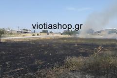 Βοιωτία: Φωτιά στην Εθνική οδό