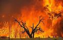 ΗΠΑ: Στάχτη 248 σπίτια από τις πυρκαγιές που κατακαίουν τα δάση
