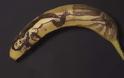 Μετατρέποντας μια μπανάνα σε έργο τέχνης - Φωτογραφία 3