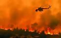 Η εγκατάλειψη ανάβει τις φωτιές στα δάση: Από το 2010 έχουν να κάνουν προσλήψεις!