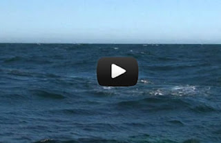 Φάλαινα «εκτόξευσε» ουράνιο τόξο [Video] - Φωτογραφία 1