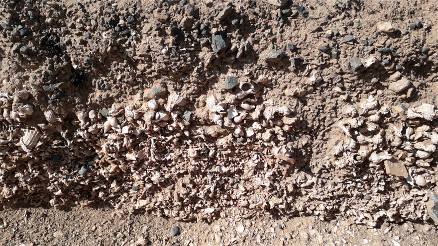 Πορφύρα και μινωικά αντικείμενα ανακαλύφθηκαν σε ανασκαφές στη νήσο Χρυσή Λασιθίου - Φωτογραφία 3