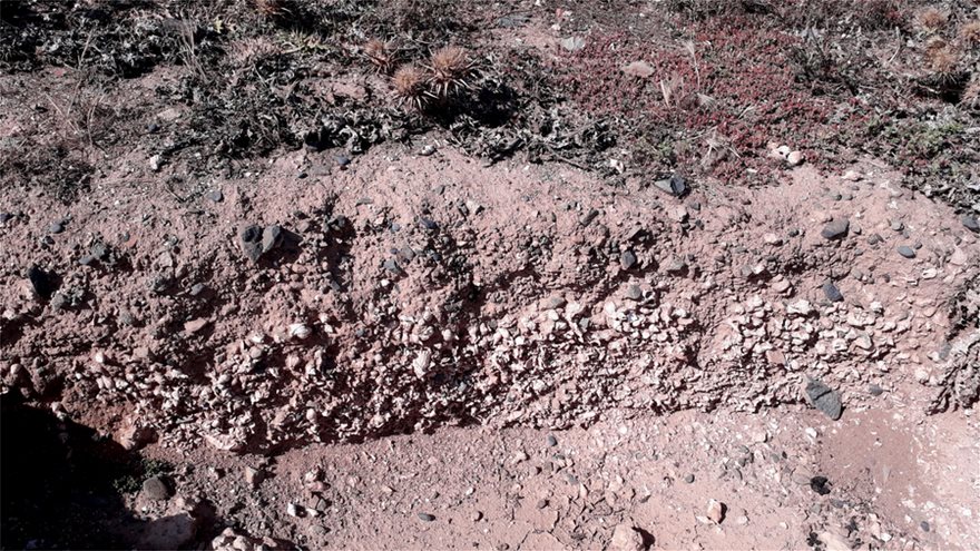 Πορφύρα και μινωικά αντικείμενα ανακαλύφθηκαν σε ανασκαφές στη νήσο Χρυσή Λασιθίου - Φωτογραφία 4