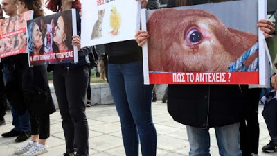 Υψηλά τα ποσοστά κακοποίησης ζώων στην Ελλάδα. Μέχρι 30000 ευρώ το πρόστιμο - Φωτογραφία 1