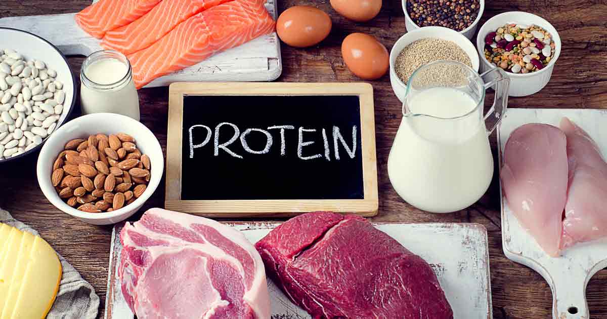 Ποια θέση πρέπει να έχουν οι πρωτεΐνες στην καθημερινή μας διατροφή - Φωτογραφία 1
