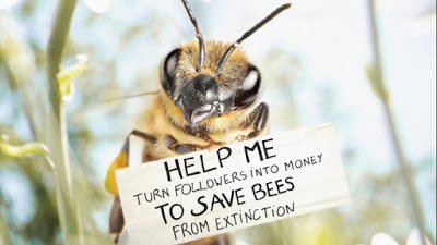 Προστατεύοντας τις μέλισσες, προστατεύουμε τους ανθρώπους - Φωτογραφία 1