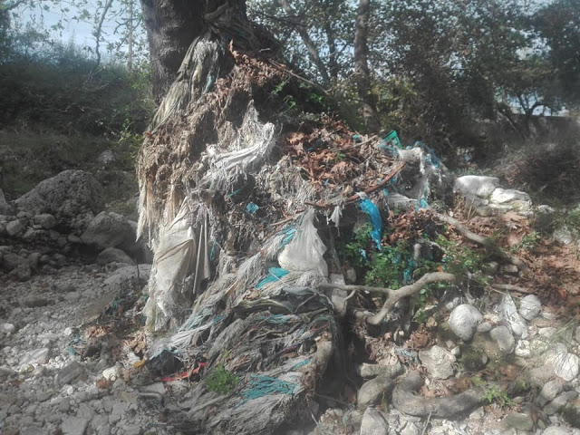 Γεμάτος σκουπίδια ο Ποταμός στο ΜΟΝΑΣΤΗΡΑΚΙ Βόνιτσας - ΦΩΤΟ - Φωτογραφία 5