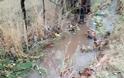 ΒΑΣΙΛΟΠΟΥΛΟ Ξηρομέρου: Η ετοιμότητα των υπηρεσιών απέτρεψε πλημμυρικά φαινόμενα - Φωτογραφία 10