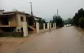 ΒΑΣΙΛΟΠΟΥΛΟ Ξηρομέρου: Η ετοιμότητα των υπηρεσιών απέτρεψε πλημμυρικά φαινόμενα - Φωτογραφία 2