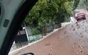 ΒΑΣΙΛΟΠΟΥΛΟ Ξηρομέρου: Η ετοιμότητα των υπηρεσιών απέτρεψε πλημμυρικά φαινόμενα - Φωτογραφία 4