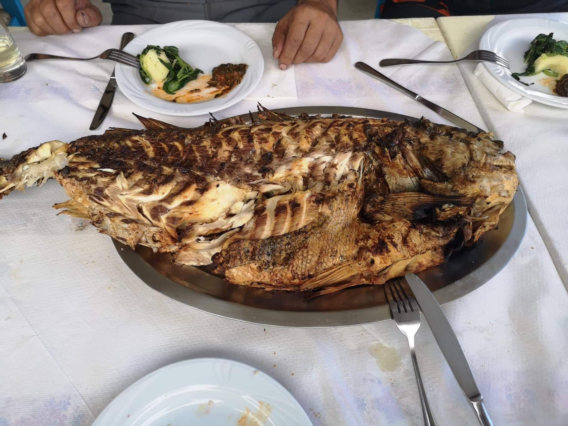 Έλληνας ψαροντουφεκάς: Πώς κατέρριψα το παγκόσμιο ρεκόρ τσιπούρας - Φωτογραφία 3