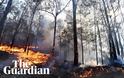 Αυστραλία: Πυρκαγιές καίνε τη Νέα Νότια Ουαλία και το Κουίνσλαντ - Φωτογραφία 3