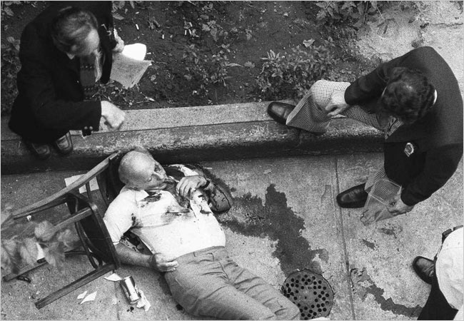 Φρανκ Κάλι: Το «φάντασμα» των Γκαμπίνο και ο κύκλος του αίματος - Φωτογραφία 2