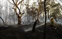 Αυστραλία: Πλησιάζουν στο Σίδνεϊ οι πυρκαγιές - Παγιδευμένοι οι κάτοικοι - Φωτογραφία 6