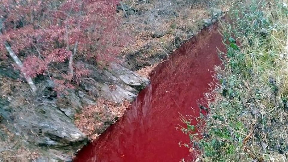 Νότια Κορέα: Κοκκίνισε ποταμός από το αίμα σφαγμένων - Φωτογραφία 1