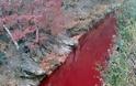 Νότια Κορέα: Κοκκίνισε ποταμός από το αίμα σφαγμένων