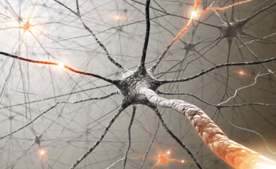 7 τρόποι για να αναπτυχθούν νέοι νευρώνες σε οποιαδήποτε ηλικία - Φωτογραφία 1