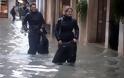 Βενετία: Κλείνει ξανά η ιστορική πλατεία Αγίου Μάρκου - Συνεχίζονται οι ακραίες πλημμύρες - Φωτογραφία 3
