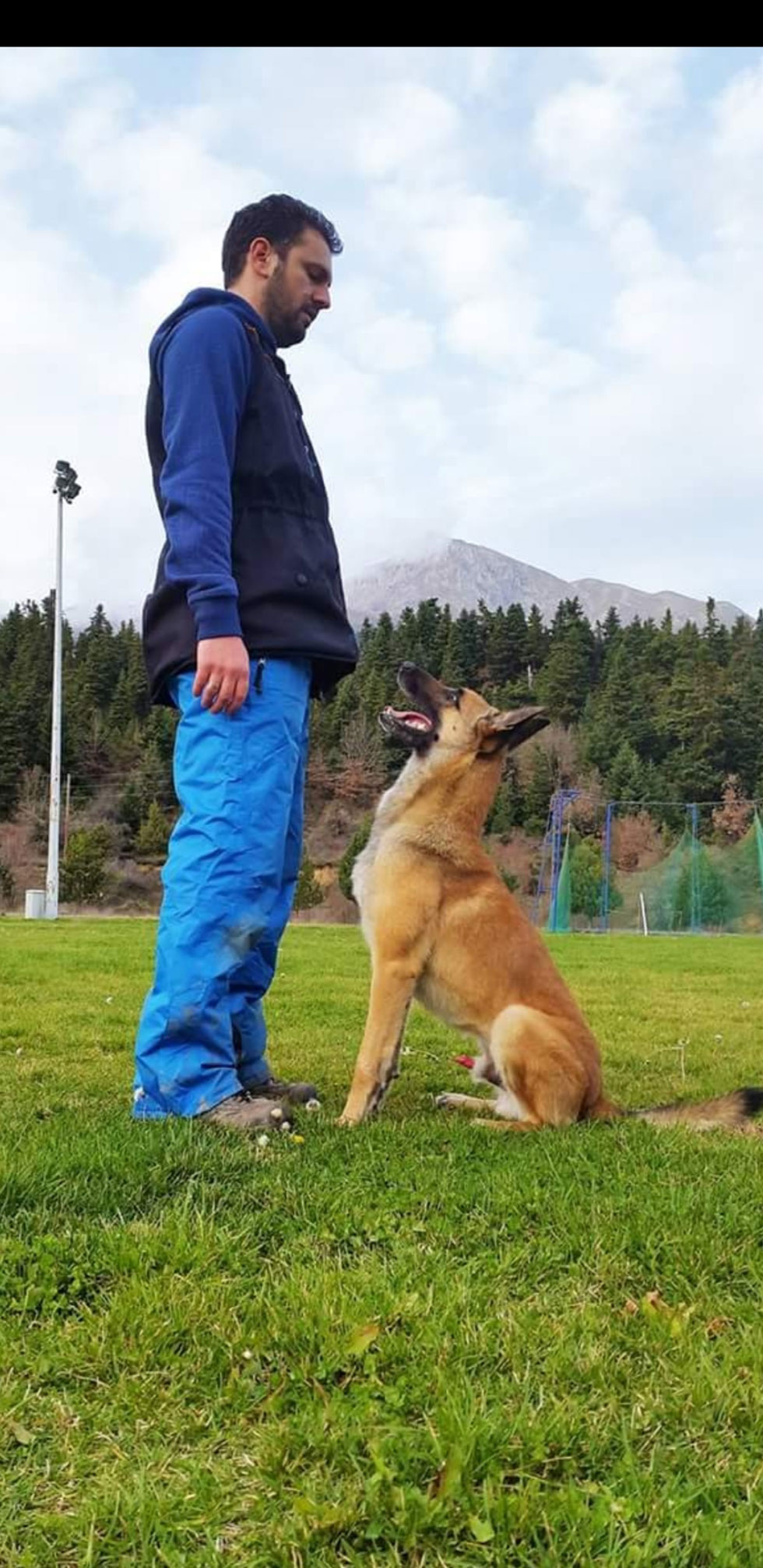 Μαλινουά: Ο σκύλος που επιλέγουν τα Σώματα Ασφαλείας και ο Στρατός - Φωτογραφία 3