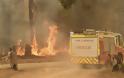 Αυστραλία στις φλόγες: Τοξικό νέφος έχει καλύψει το Σίδνεϊ - Φωτογραφία 3