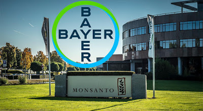 Monsanto-Bayer : Αποζημίωση 10 εκατ. δολαρίων για ιδιαιτερα τοξικο ζιζανιοκτόνο - Φωτογραφία 1