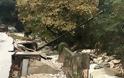 Κακοκαιρία: Εικόνες καταστροφής στη βόρεια Ελλάδα - Φωτογραφία 3