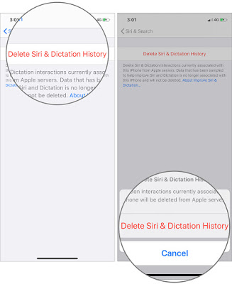 Πώς να αφαιρέσετε το ιστορικό υπαγόρευσης της Siri σε iOS 13 και iPadOS σε iPhone ή iPad - Φωτογραφία 5